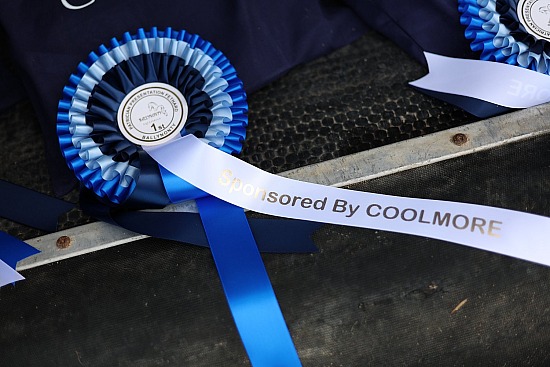 Ballynonty Schools Showjumping Show 20.09.2026